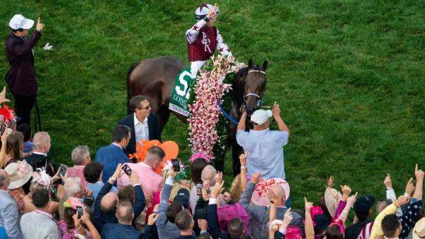 2024 Horse of the Year Torpedo Anna officially retires from horse racing