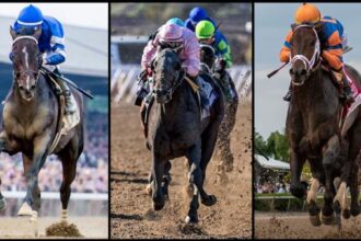 2025 Breeders' Cup Classic Cheat Sheet