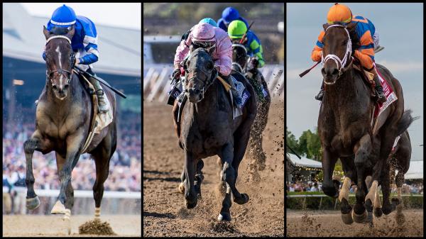 2025 Breeders' Cup Classic Cheat Sheet