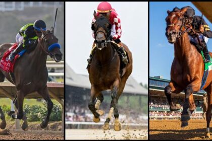 2025 Breeders' Cup Distaff Cheat Sheet