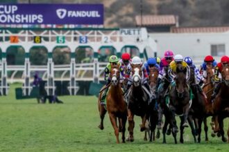 2025 Breeders’ Cup Mile Overview