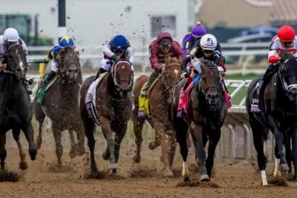 2025 Breeders’ Cup Sprint Overview