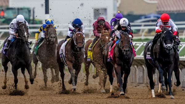 2025 Breeders’ Cup Sprint Overview