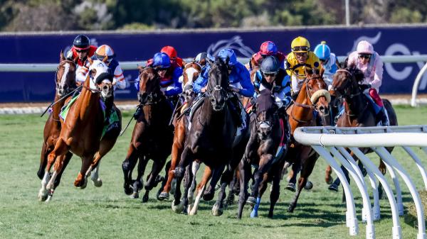 2025 Breeders' Cup Turf Overview