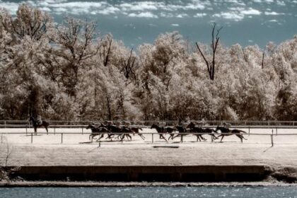 2025 Maryland Million Classic Stakes Cheat Sheet