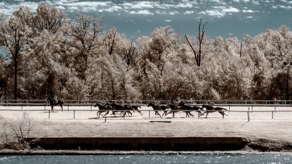 2025 Maryland Million Classic Stakes Cheat Sheet