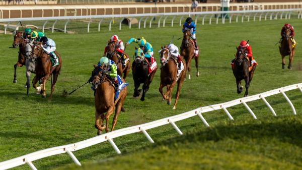 2025 Queen Elizabeth II Challenge Cup