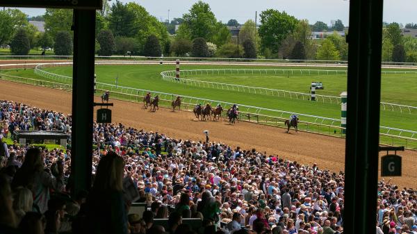 2025 Raven Run Stakes Overview