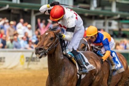 7 major prize winners scheduled to participate