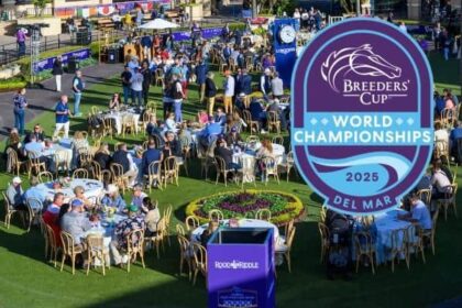 9 race tracks, posts and jockeys