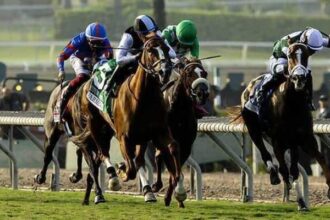 A familiar name wins Warming at Autumn Miss