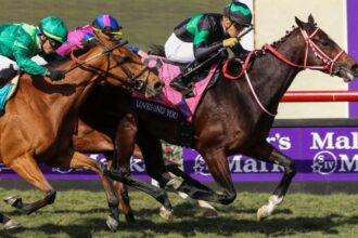 A look back at the brief but glorious history of the Breeders' Cup at Del Mar