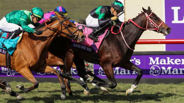 A look back at the brief but glorious history of the Breeders' Cup at Del Mar