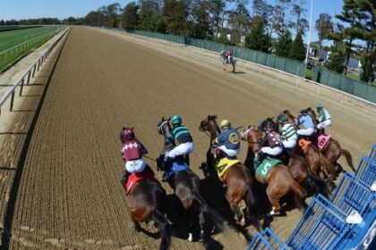 ABR Sunday Selection: Oct. 26 full-card pick from Belmont in Big A