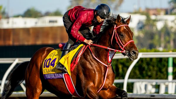 ABR’s trifecta prediction for the 2025 Breeders’ Cup Classic