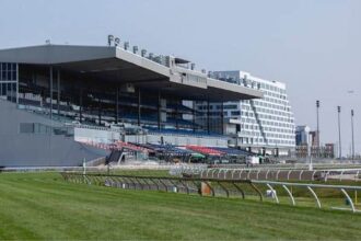 Adams jockey injured in spill, 3 horses survive