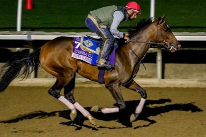 Aiming for a longshot of 15 wins and 1 loss in the Breeders' Cup Juvenile Fillies