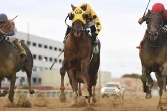 Bank Frenzy wins Empire Classic by a neck