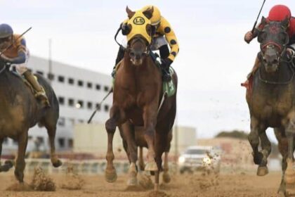 Bank Frenzy wins Empire Classic by a neck