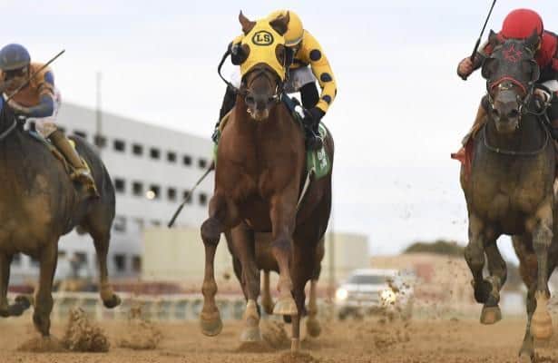 Bank Frenzy wins Empire Classic by a neck