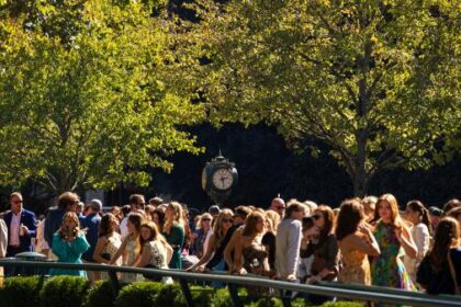 Bet on the 15-1 longshot to win the Raven Run Stakes