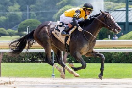 Big Saturday for Griffin Johnson's new horse