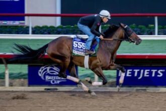Breeders' Cup Distaff Wednesday Notes and Quotes from Del Mar