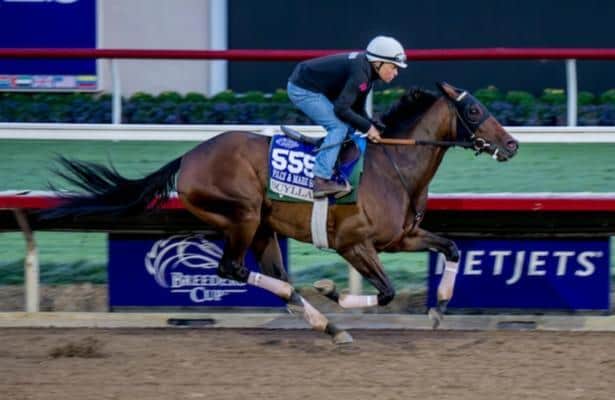 Breeders' Cup Distaff Wednesday Notes and Quotes from Del Mar