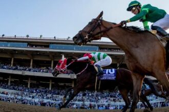 Breeders' Cup Great Finish: Japan's Outsider Stan Stacked 2021 Distaff Field