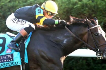 Buy or sell on the road to the Breeders' Cup: Winner Rhetoric of Cool More Turf Mile Stakes