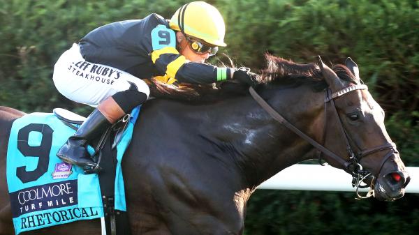 Buy or sell on the road to the Breeders' Cup: Winner Rhetoric of Cool More Turf Mile Stakes