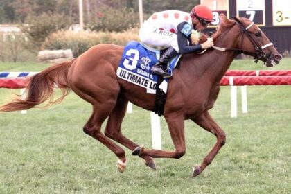Buying and Selling on the Road to the Breeders' Cup: Juvenile Fillies Turf Contender Ultimate Love