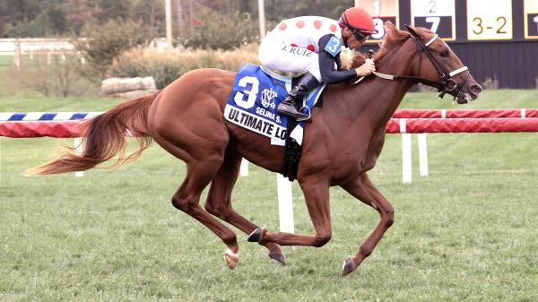 Buying and Selling on the Road to the Breeders' Cup: Juvenile Fillies Turf Contender Ultimate Love