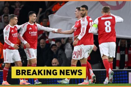 Martin Odegaard celebrates with his Arsenal teammates