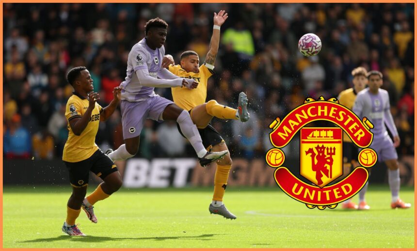 Carlos Baleba in action for Brighton against Wolves