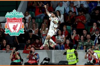 Dominik Szoboszlai celebrates a goal for Hungary