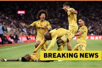 Crystal Palace breaking news