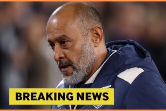 West Ham United breaking news