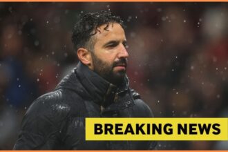 Ruben Amorim and yellow