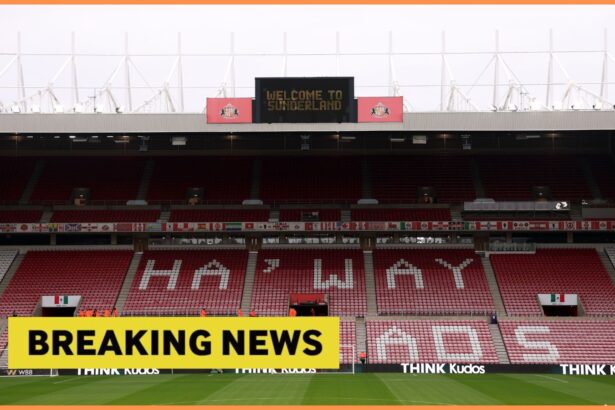 Agent pushes super defender to sign with Sunderland