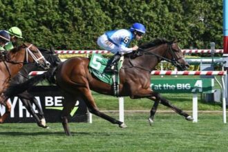 Casse's final agreement wins Matron in the second start