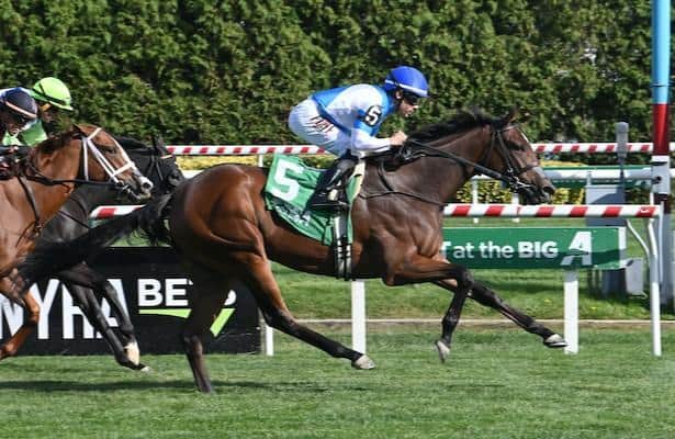 Casse's final agreement wins Matron in the second start