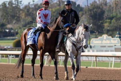 Cavalieri, who had 5 hits in 5 at bats, was ruled out of the Breeders' Cup Distaff.