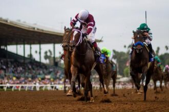 Champions fail to dominate on the biggest day of racing