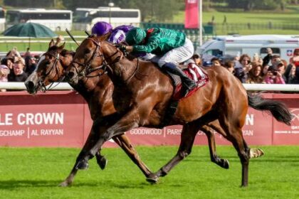 Daris beat Ark de Triomphe and leads the preparatory race parade for the Breeders' Cup in France
