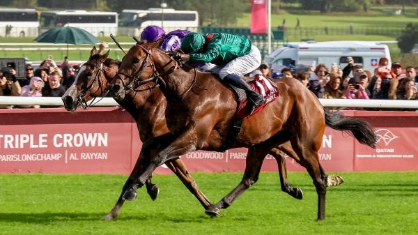Daris beat Ark de Triomphe and leads the preparatory race parade for the Breeders' Cup in France