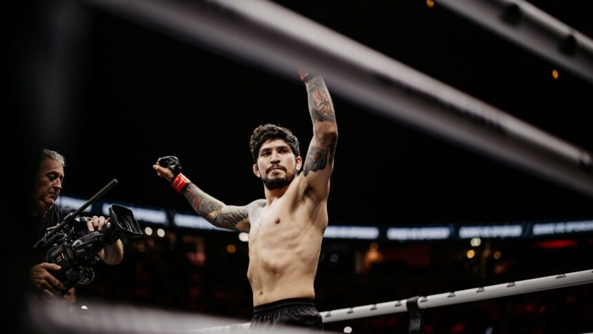 Dillon Danis Misfits MMA
