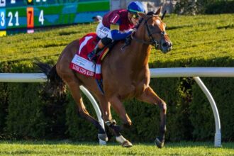 Equibase Rankings: Outstanding Turf Filly Rush Lips Moves Up Earnings Leaderboard
