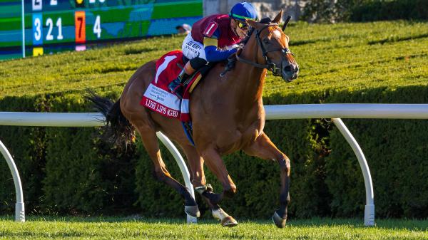 Equibase Rankings: Outstanding Turf Filly Rush Lips Moves Up Earnings Leaderboard