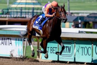 Equibase Revenue Leader: Active Fall Star Weekend Makes Big Impact